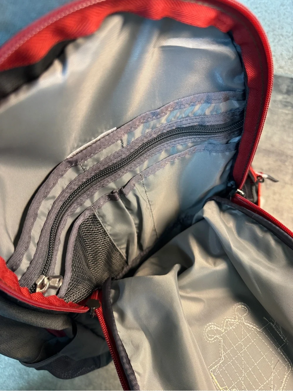 The North Face Black Backpack with Red Accents